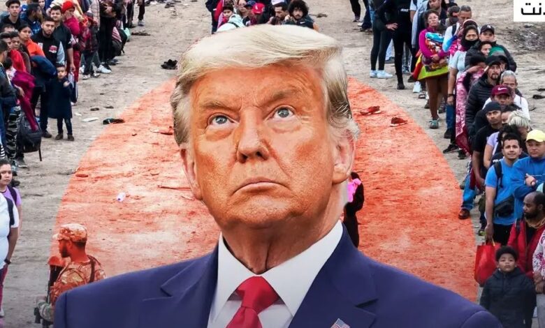 Trump's offer to illegal immigrants