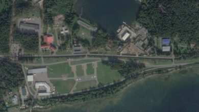 Video released of pro-Ukrainian drone attack on Putin's residence