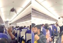 indian airline indigo