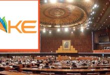 k electric and senat