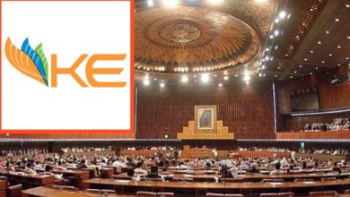 k electric and senat