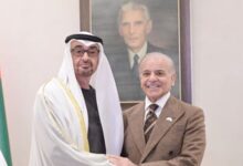 president uae meeting with shahbaz sharif