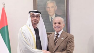 president uae meeting with shahbaz sharif