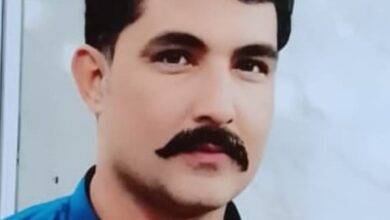 new almedina gousyia milk shope