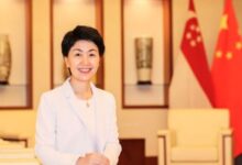 Chinese Vice Minister