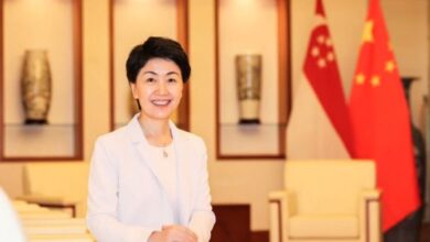 Chinese Vice Minister