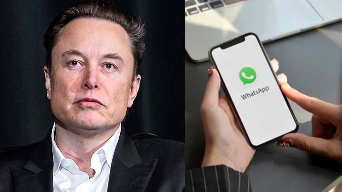 elon musk and whatsapp