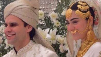 hina afridi and tamior akbar