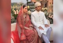junaid safdar marraige