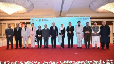 pakistan and indonesia