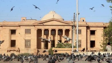 sindh high court