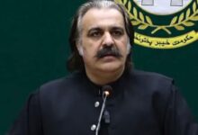ali ameen gandapur