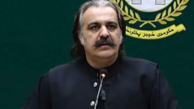 ali ameen gandapur