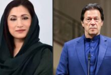 maryam raiz watoo talk about imran khan