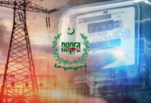 nepra fixed charges