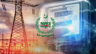 nepra fixed charges