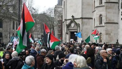 phalesteen action group