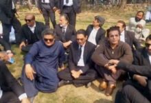 pti member parliment protest