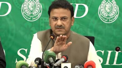 sindh government news