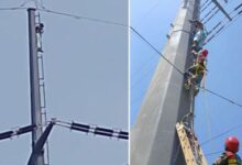 Citizen climbed onto high-tension electricity pole