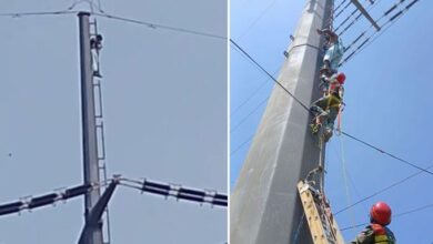 Citizen climbed onto high-tension electricity pole