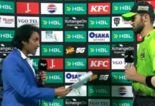 rameez raja and shaheen shah afridi