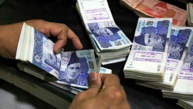 Federal Development Budget