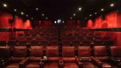 Punjab Film industry