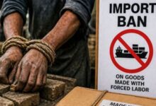 ban imposed on import of goods
