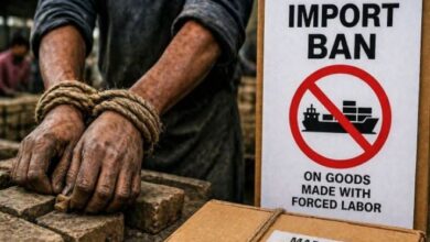 ban imposed on import of goods