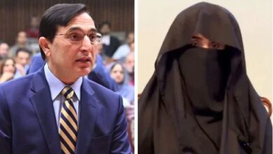 barrister gohar and bushra bibi