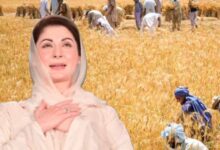 cm punjab maryam nawaz news