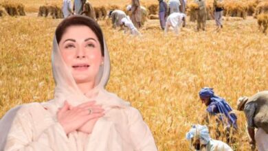 cm punjab maryam nawaz news