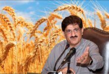cm sindh news