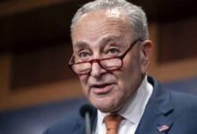 demo create senitor check shomro