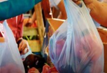 plastic bags ban in punjab