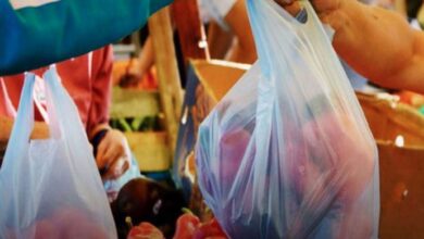 plastic bags ban in punjab