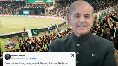 psl 11 and shahbaz sharif