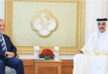 shahbaz sharif meet with ameer qatar