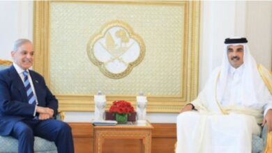 shahbaz sharif meet with ameer qatar