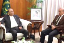 shahbaz sharif meeting with asif ali zardar