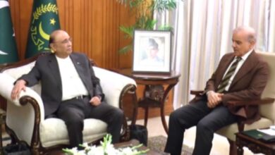 shahbaz sharif meeting with asif ali zardar