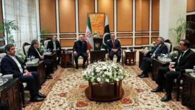 shahbaz sharif meeting with irani deligation