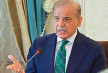 shahbaz sharif talk about seezfire