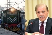 shahbaz sharif talk with haneef abbasi