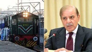 shahbaz sharif talk with haneef abbasi