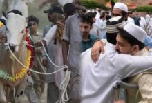 Eid al-Adha holidays