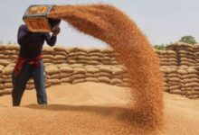 Flour expensive in KP