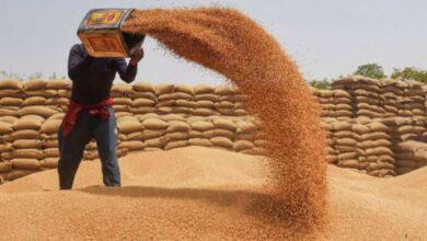 Flour expensive in KP