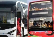 New EV and double-decker buses